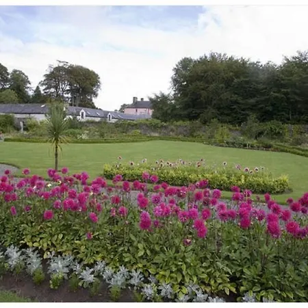 Boutique 2-bed Town Centre Daire